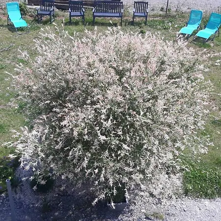 Du Tellin بيت للعطل