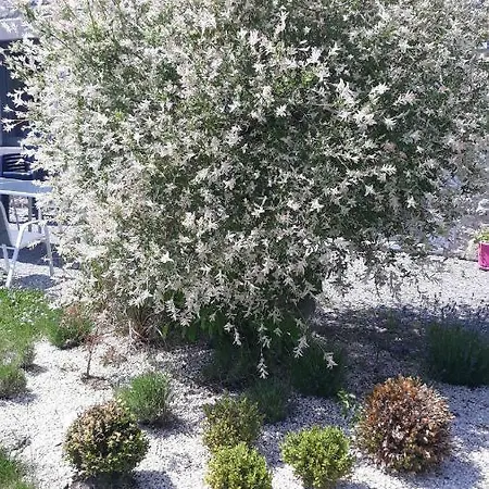 بيت للعطل Du Tellin كوفين