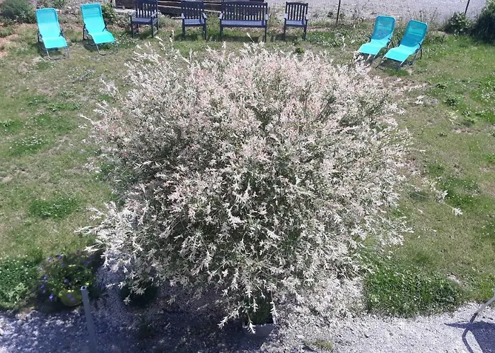 Du Tellin Casa de Férias